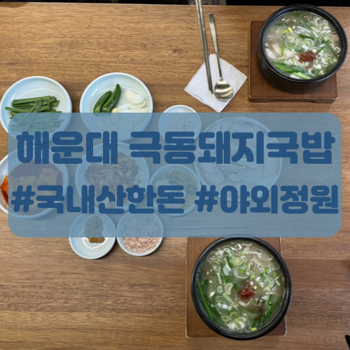  해운대 돼지국밥맛집 극동돼지국밥 후기 엘시티맛집