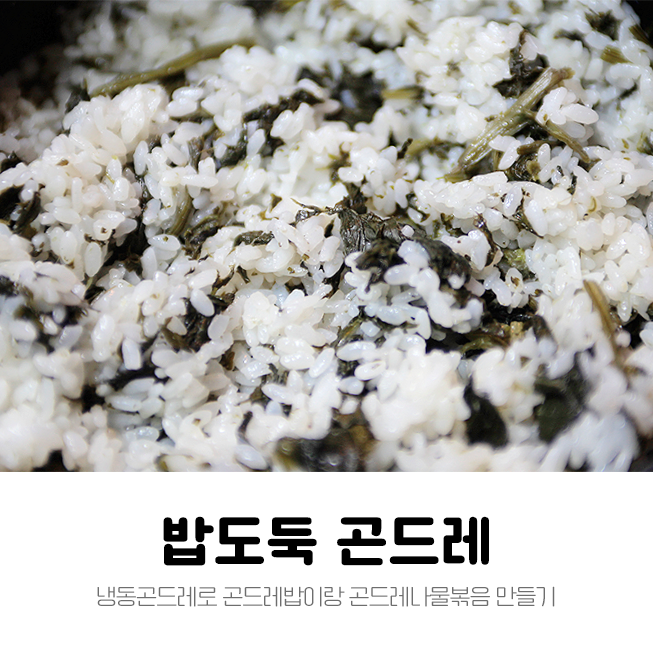  냉동곤드레로 곤드레밥이랑 곤드레나물볶음 만들기