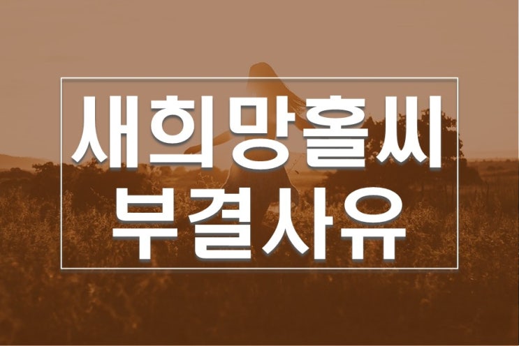  새희망홀씨 부결사유