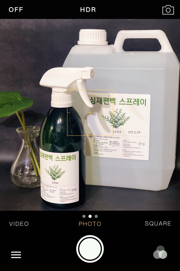  편백수스프레이 진한 원액 추출로 만든 순수팜 편백수