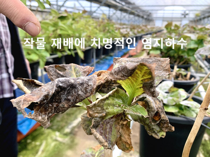 지하수 염분제거, 농업용 정수기 소형 역삼투 안쓰면 이렇게 ㅠㅠ