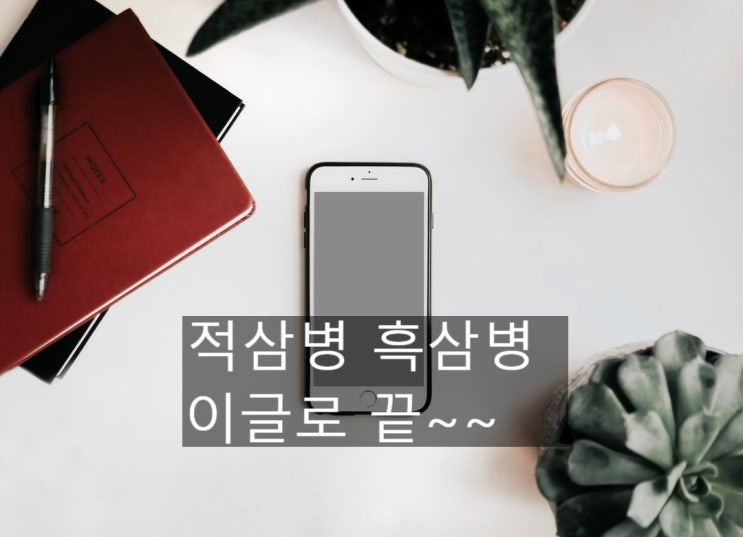 주식 용어 적삼병 흑삼병 이 글 보면 끝!