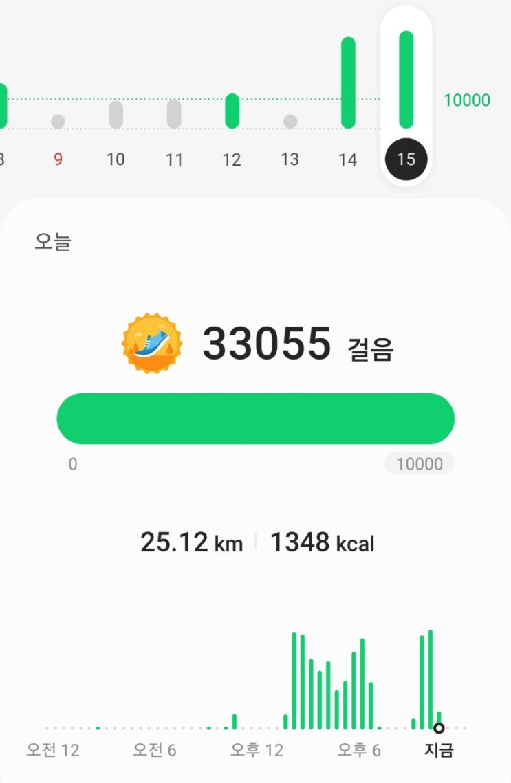  3만보 인증
