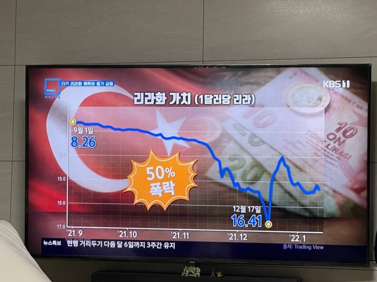 에르도안 대통령 터키 저금리 인플레이션 대응 상황 (터키 리라화 폭락, 리라 환율)