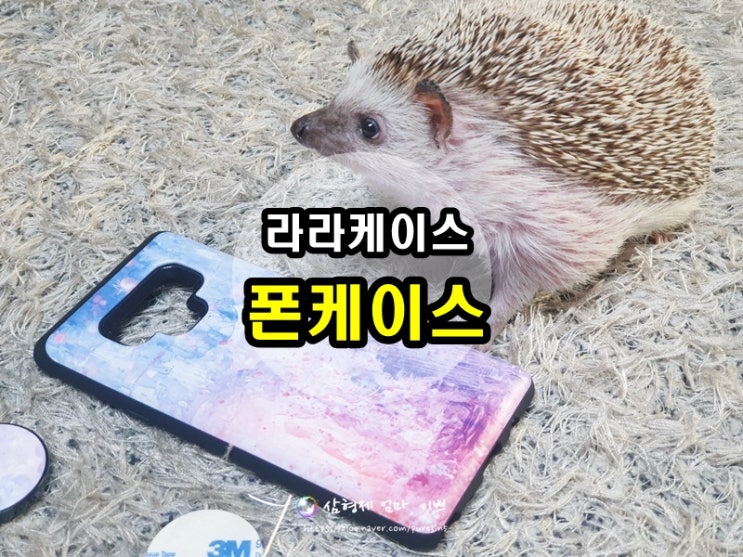 라라케이스 예쁜폰케이스, 카드수납케이스 _ 갤럭시폰케이스 추천