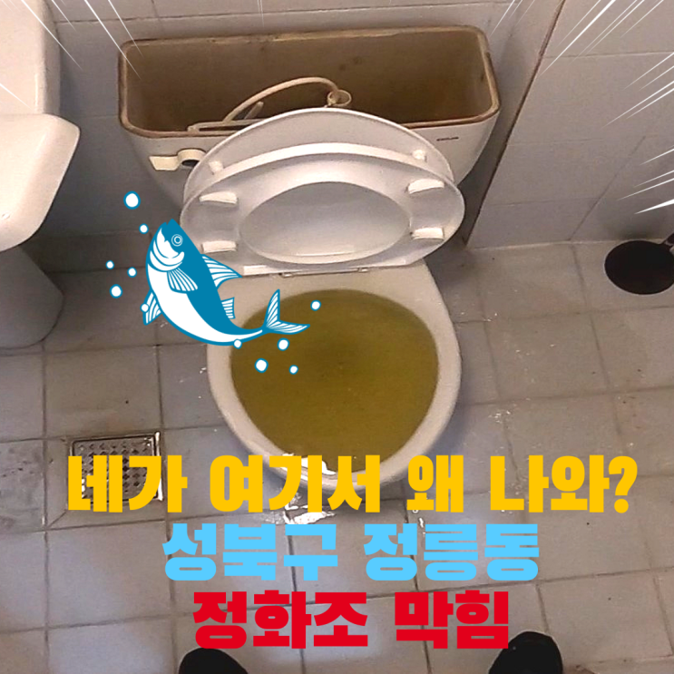 성북구 정릉동 오수관 정화조 뚫음 변기 막힘 스프링