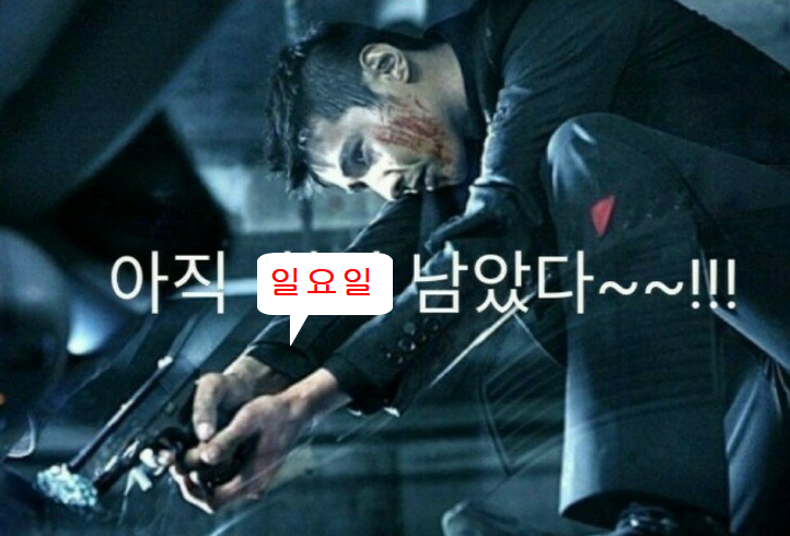  주말 일상 - 서점,선물,초밥,맥주,일요일