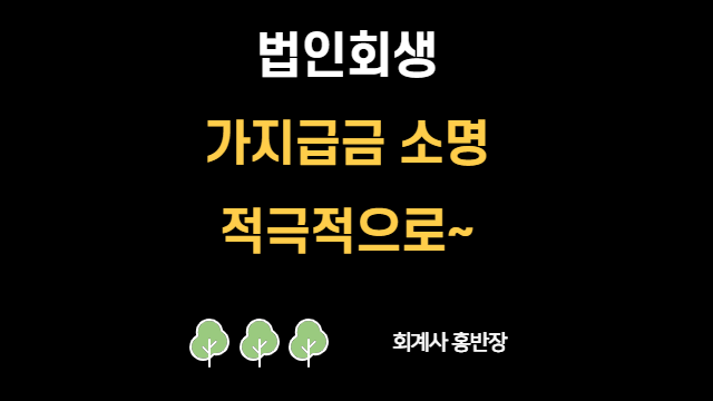 [부산회계사 홍반장] 회생조사위원 대응법(가지급금, 손익추정)