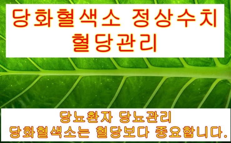  당화혈색소 정상수치, 당화혈색소란?