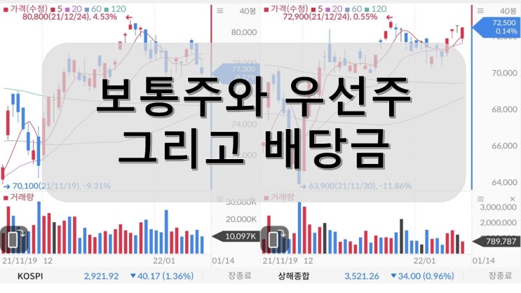  우선주와 보통주 그리고 배당금 이해하기