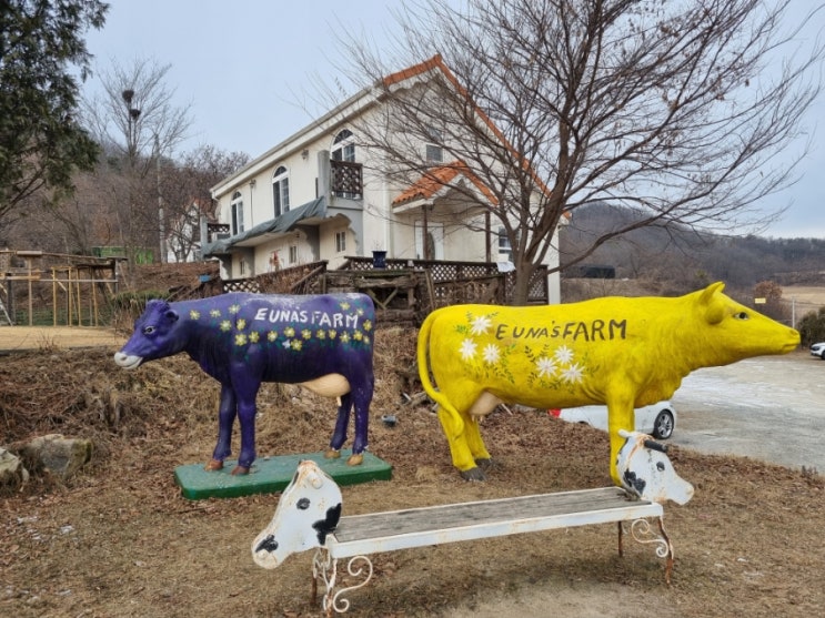  체험/여주/은아목장(주차 tip)