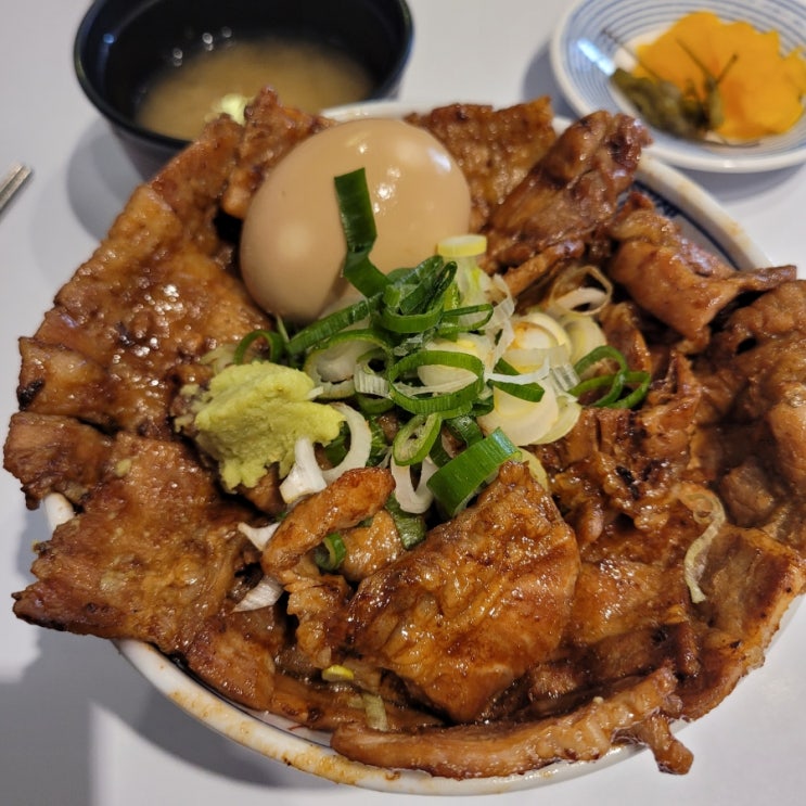  청주 성안길 부타동 맛집 <탄포포>