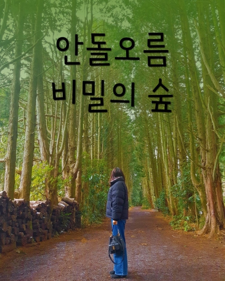 사진찍기 좋은 제주 안돌오름 비밀의 숲 _ 비밀의 숲 주소  & 입장료