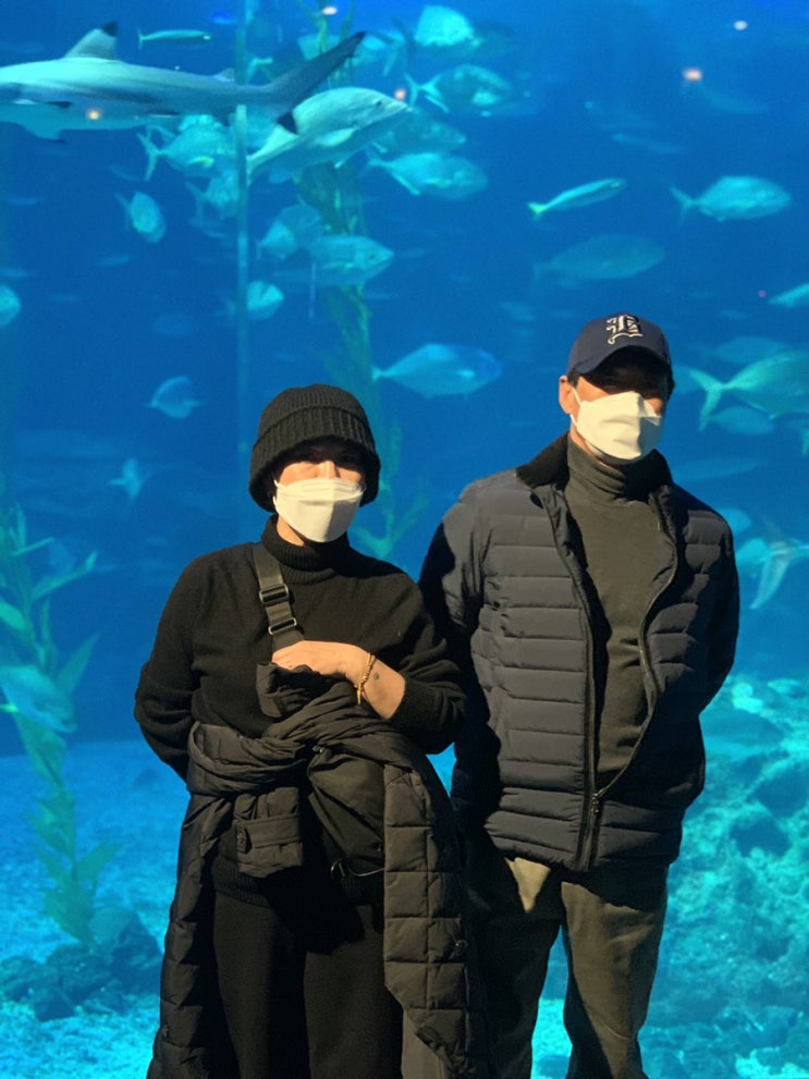  [22 제주도 투어] 오늘만큼은 신혼부부