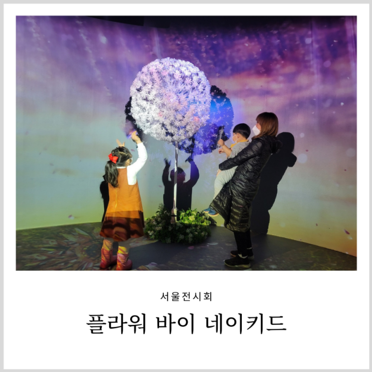 서울전시회 플라워바이네이키드 홍대 아이랑 가볼만한곳 서울전시회 플라워바이네이키드 홍대 아이랑 가볼만한곳