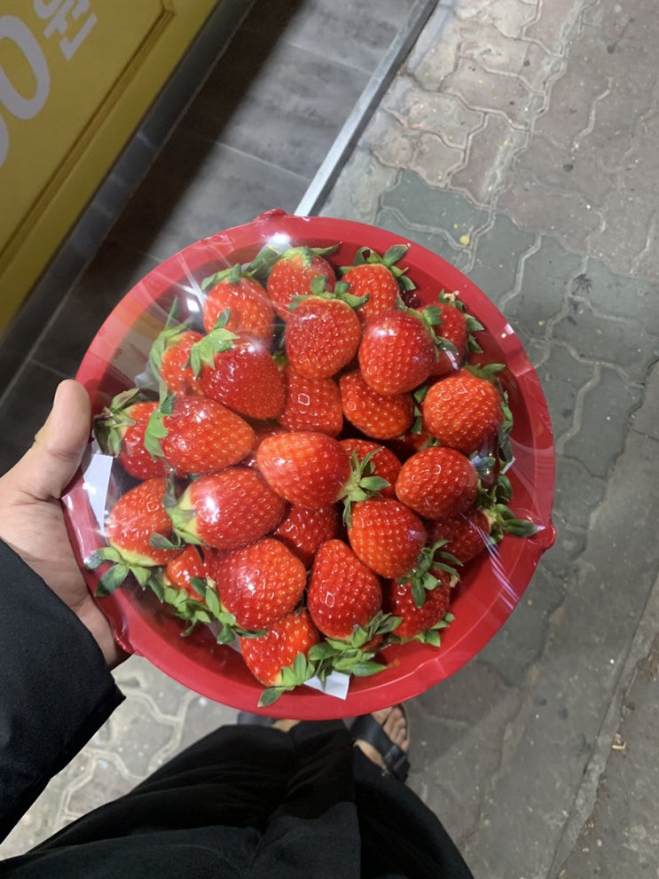  리퐁이를 위한 딸기