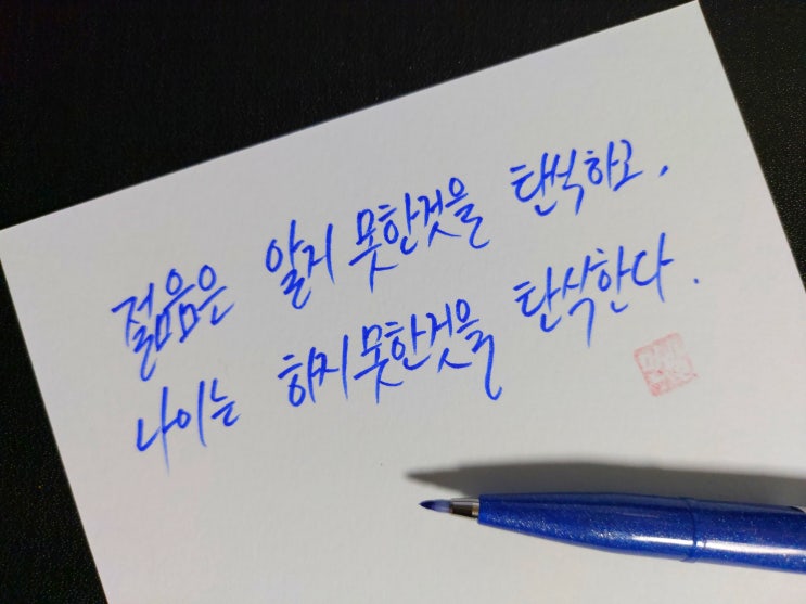  [1일 1캘리그라피] 앙리 에스티엔 명언 1