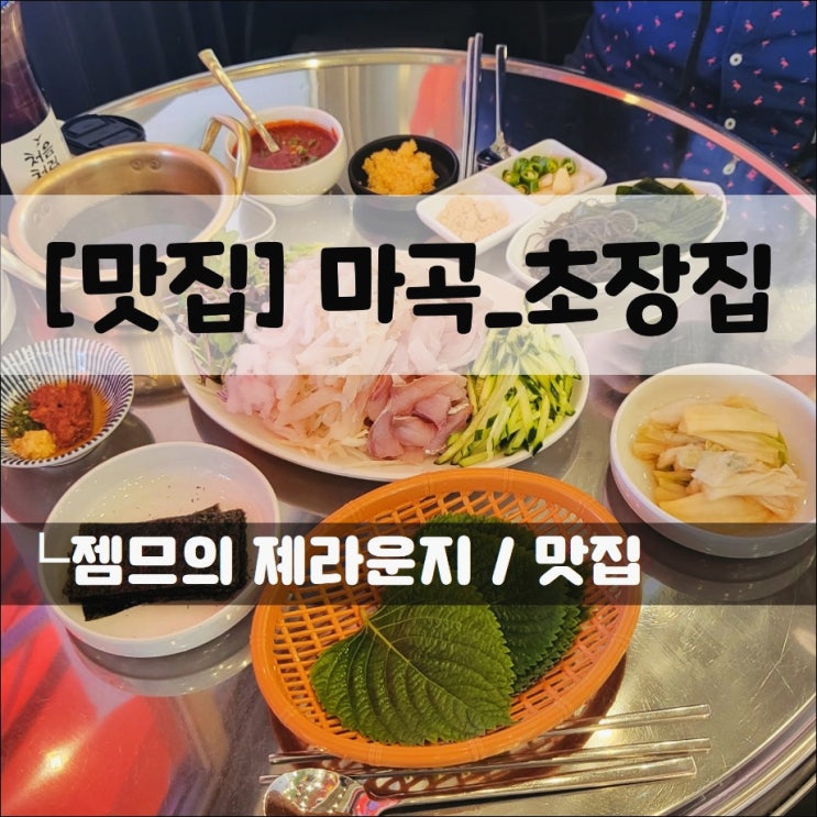  <마곡 포차 / 초장집 마곡점> 맛있는 자연산 막회가 있는곳