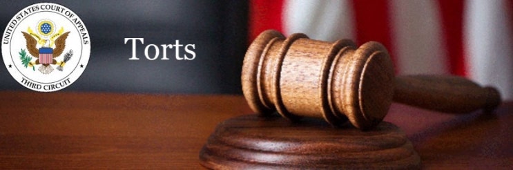  [Torts] Prima Facie Case