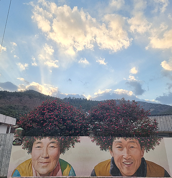  신안, 퍼플섬에 가서 퍼플트리와 퍼플교를 만나보자
