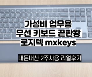  [내돈내산] 블루투스 무선 키보드 추천 / 사무용 저소음 아이패드