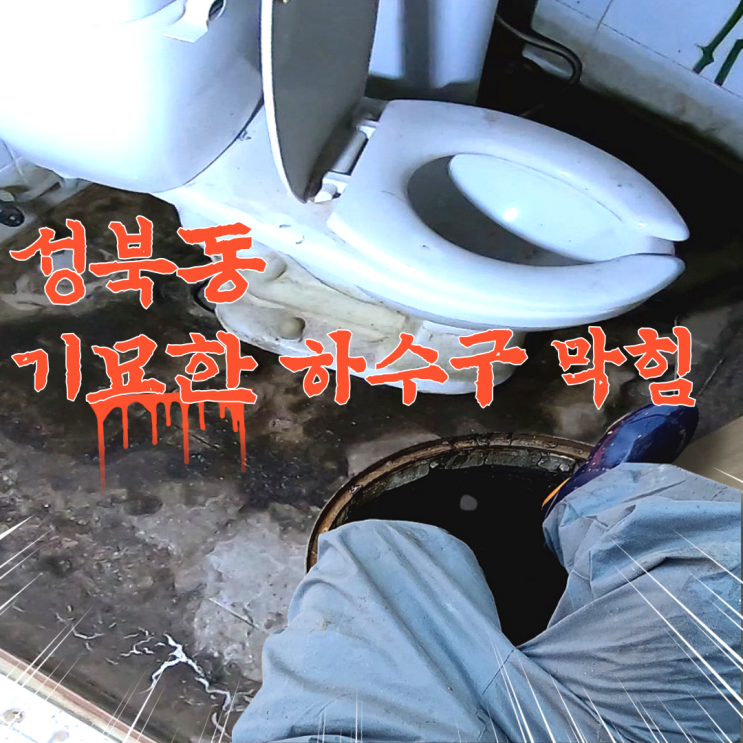  성북동 하수구 막힘 맨홀 청소 기묘한 배관 구조