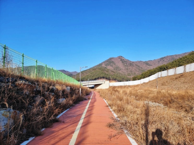  폰으로 사진 찍는 연습을 해보자