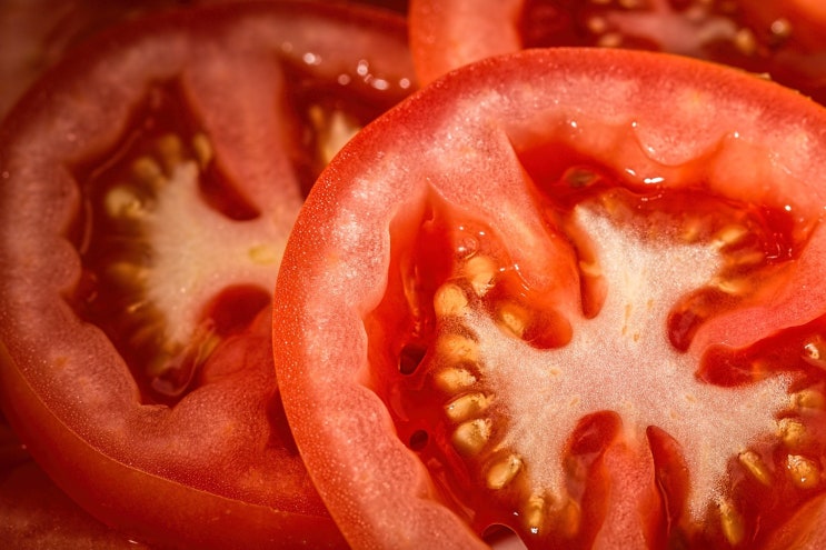  남자들이 토마토를 꼭 먹어야 하는 이유