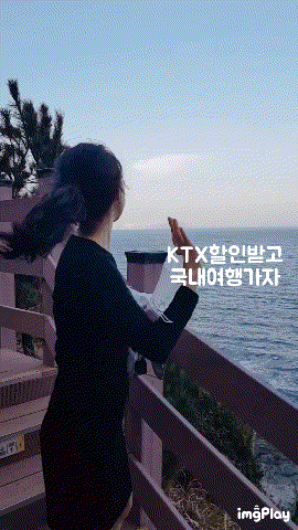 [꿀팁] KTX할인 서울-부산 왕복 5만원 내일로 두번째이야기 (feat.부산여행준비)
