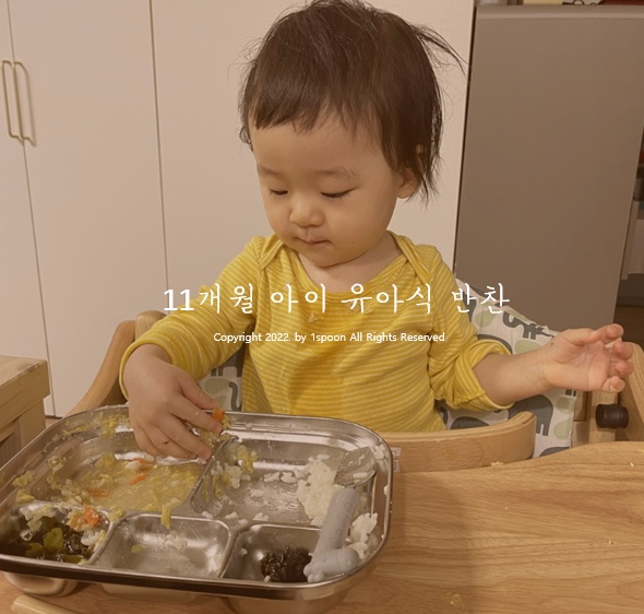  11개월 아이 잘 먹는 유아식 국&반찬