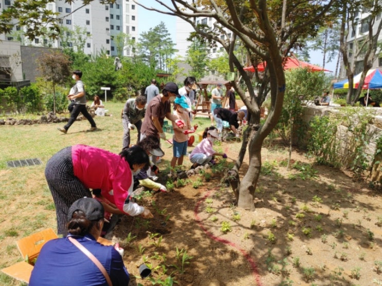 [충청미디어] 청주시, 주민 참여형 아파트 조경 다층식재 정원 조성사업