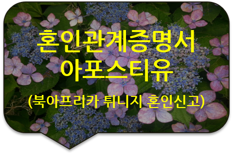 북아프리카 튀니지 공화국 혼인신고를 위한 '기본증명서', '가족관계증명서' 및 '혼인관계증명서'의 외교부 '아포스티유' 대행 북아프리카 튀니지 공화국 혼인신고를 위한 '기본증명서', '가족관계증명서' 및 '혼인관계증명서'의 외교부 '아포스티유' 대행