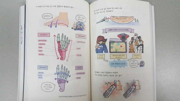  까면서 보는 해부학 만화