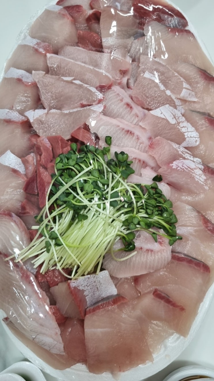  지금먹는 대방어 회 꼬숩고  맛있다 노화방지에좋은 대방어