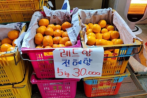 오늘청과2 이미지