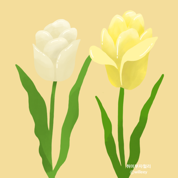 아이패드로 그림 그리며 기분전환! 아이패드 드로잉 튤립 그림 아이패드로 그림 그리며 기분전환! 아이패드 드로잉 튤립 그림