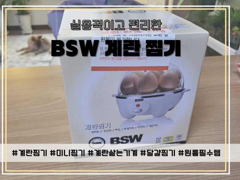 BSW 계란 찜기