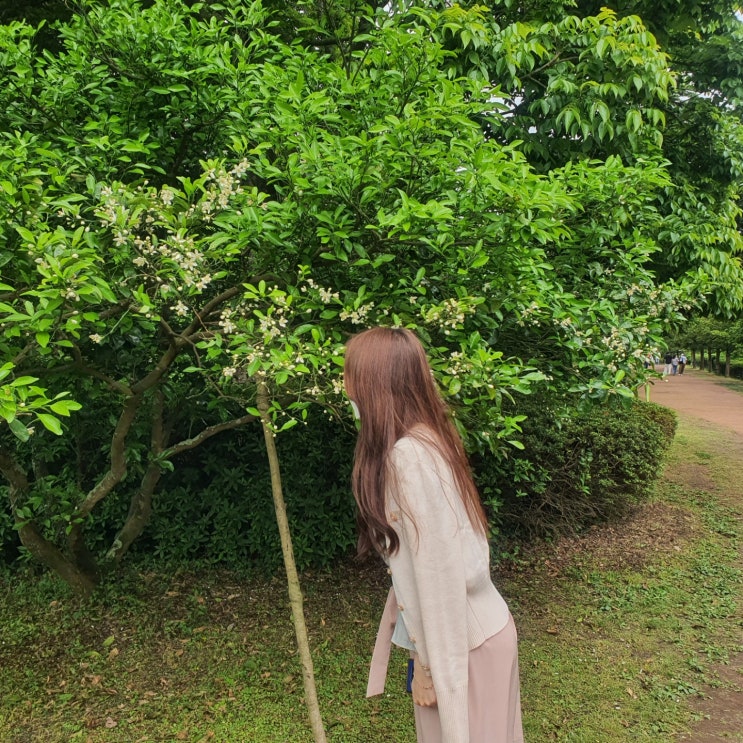  꽉찬 공란이었다.