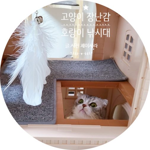  고양이 장난감 호랑이낚시대 : 고양이들 반응이 장난 아니에요. (with. 펫프렌즈)