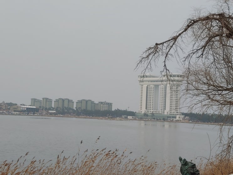 강원도 강릉여행 (경포호 : 강릉의 대표적인 볼거리가 많고 산책하기에 호수)