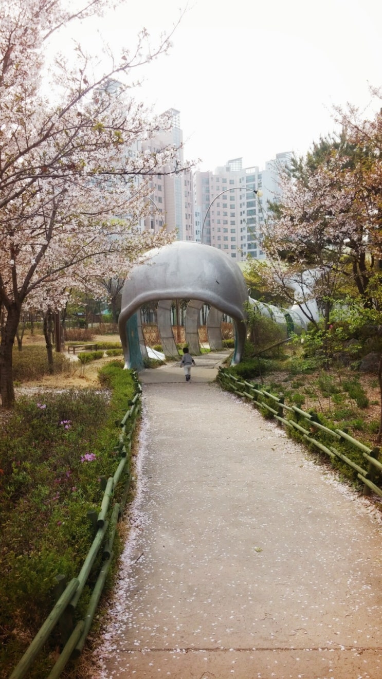  어린이집 선생님 선물 시선강탈(졸업식)