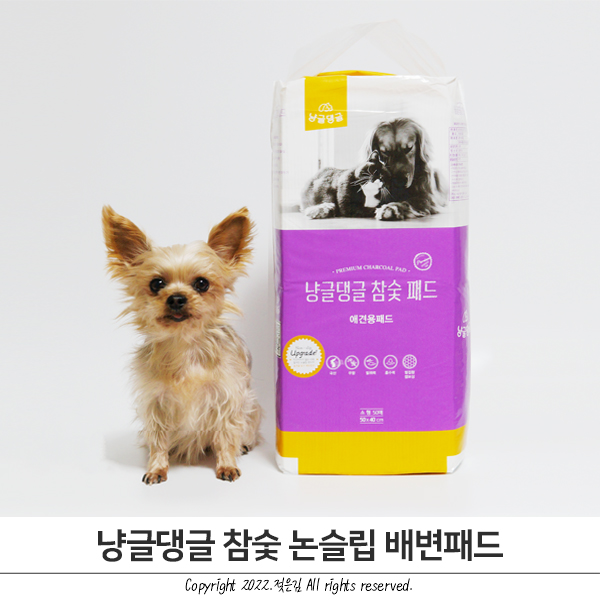 냥글댕글 논슬립 노령견에게 알맞은 강아지 배변패드 냥글댕글 논슬립 노령견에게 알맞은 강아지 배변패드