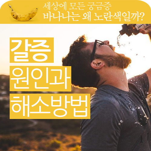 몹시 갈증이 나요!! 갈증 원인과 해소 방법 몹시 갈증이 나요!! 갈증 원인과 해소 방법