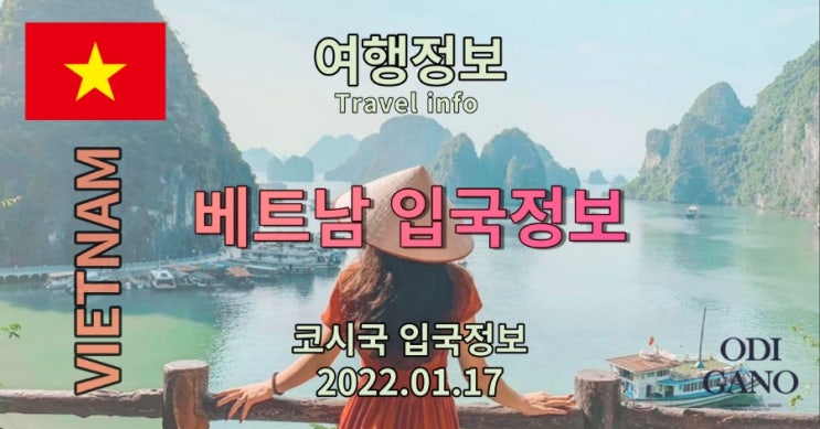  2022년 코로나 베트남 입국정보
