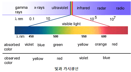  블루라이트 차단안경, 효과 있을까? l 수면, 눈 건강에 대한 의학 논문 검토