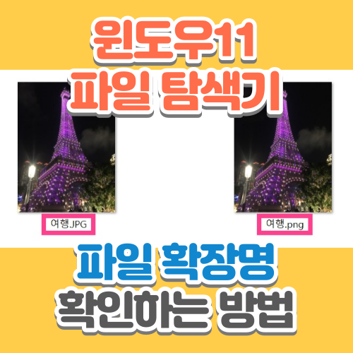  윈도우(Windows)11 파일의 '확장명' 확인하는 방법