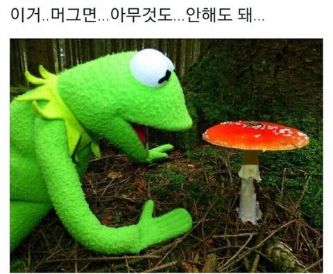 온라인 강의 클래스 '인프런' 무료 수강 후기 온라인 강의 클래스 '인프런' 무료 수강 후기