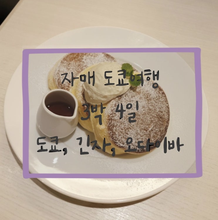  190329 도쿄자매여행 : 도쿄역, 긴자역, 오다이바 (팀랩-보더리스)