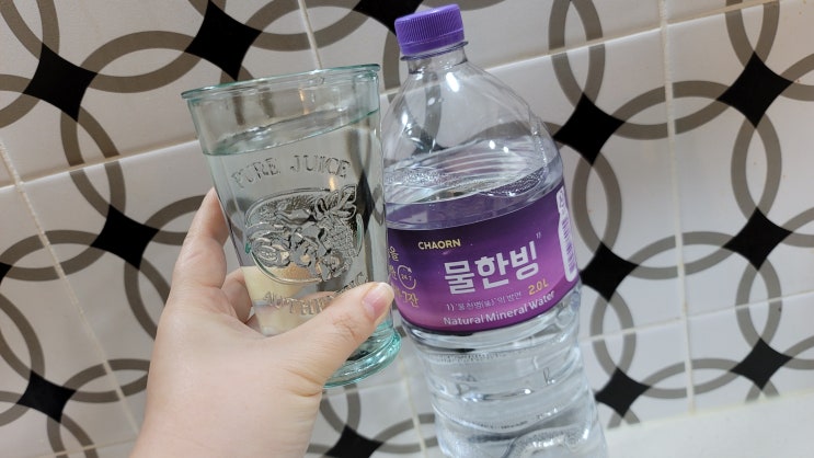  미네랄워터 2L 목 넘김이 부드러운 물한빙