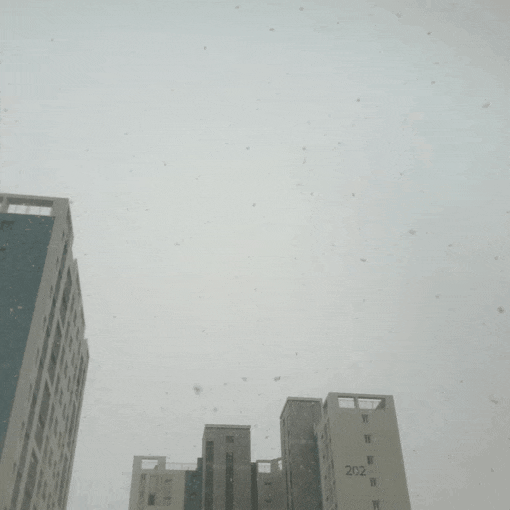  [일상이야기]함박눈